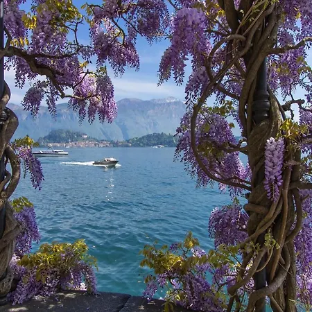 Apartman Fontana Del *